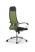 Кресло для руководителя Метта Sit 10 B1-180K - X2+UMF(X1) /Um00/Wh00/K1cL(M09.B23.G18.W01 (Зеленый | Черный)