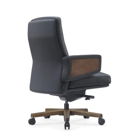 Кресло Rafael-M B2119 Черный (Черный) Кресло Rafael-M B2119 Черный (Черный)