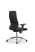 Кресло для руководителя Метта SynchroSit 8 B2-25D - X2+Extra /Uhp42/Wm12/D32P/H3mL-2D(M20.B23.G18.W0 (Черный) Кресло для руководителя Метта SynchroSit 8 B2-25D - X2+Extra /Uhp42/Wm12/D32P/H3mL-2D(M20.B23.G18.W0 (Черный)
