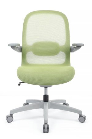 Кресло Miller YSJ-300 Зеленый (Зеленый) Кресло Miller YSJ-300 Зеленый (Зеленый)