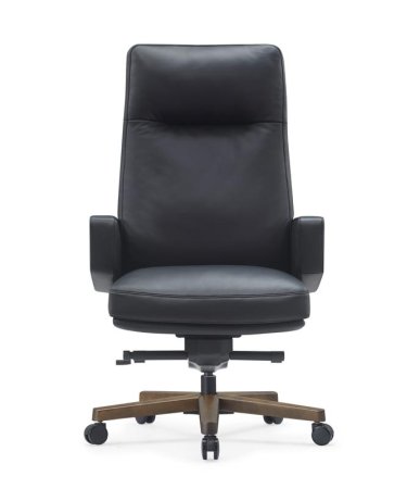 Кресло Rafael A2119 Черный (Черный)