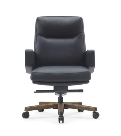 Кресло Rafael-M B2119 Черный (Черный) Кресло Rafael-M B2119 Черный (Черный)