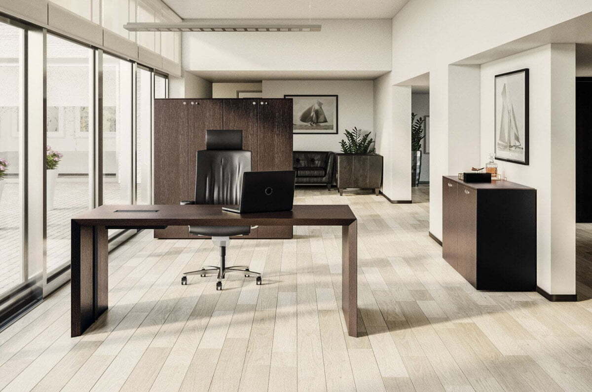 Кабинет руководителя MultipliCEO