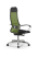 Кресло для руководителя Метта SynchroSit 10 B1-111K - X2+UMF(X1) /Ub00/Wh00/K1cL(M23.B22.G18.W03) (Зеленый | Черный) Кресло для руководителя Метта SynchroSit 10 B1-111K - X2+UMF(X1) /Ub00/Wh00/K1cL(M23.B22.G18.W03) (Зеленый | Черный)