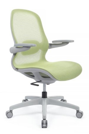 Кресло Miller YSJ-300 Зеленый (Зеленый) Кресло Miller YSJ-300 Зеленый (Зеленый)