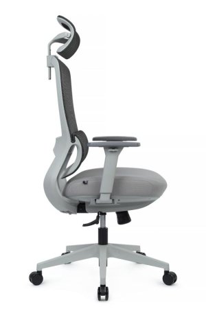 Кресло Skill RCH 6245AX-HS Серый (Серый) Кресло Skill RCH 6245AX-HS Серый (Серый)