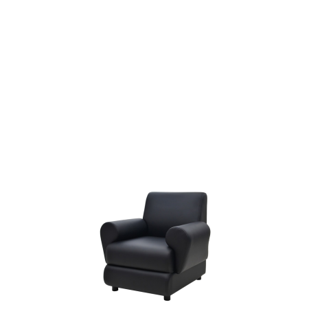 Кресло офисное Берн (М-04) с подлокотниками (Черный)