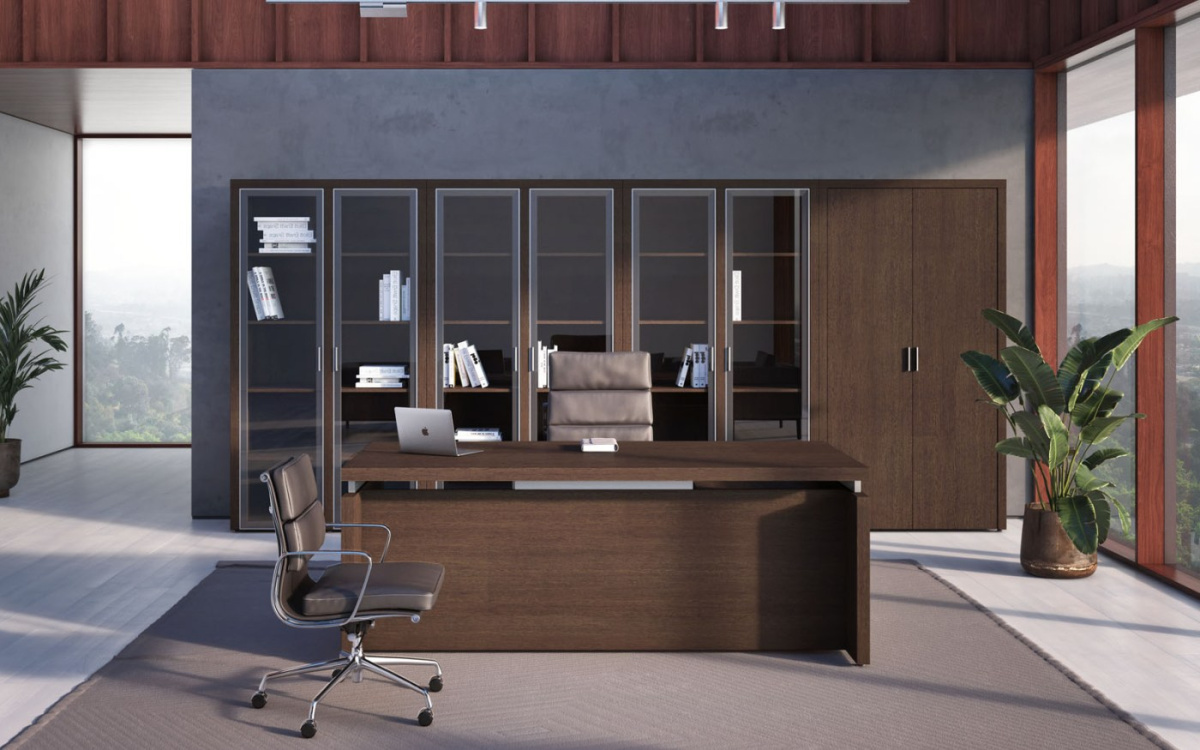 Кабинет руководителя Triumf