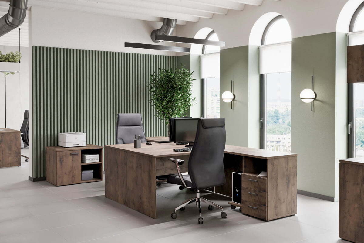 Кабинет руководителя Lemo