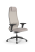 Кресло для руководителя Метта SynchroSit 10 B1-115D - X2+Extra /Um00/Wm12/D02P(M23.B11.G19.W02) (Светло-бежевый) Кресло для руководителя Метта SynchroSit 10 B1-115D - X2+Extra /Um00/Wm12/D02P(M23.B11.G19.W02) (Светло-бежевый)