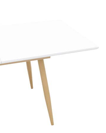 Стол обеденный Стокгольм раскладной 160-220*90 белый (Стол обеденный Стокгольм белый)