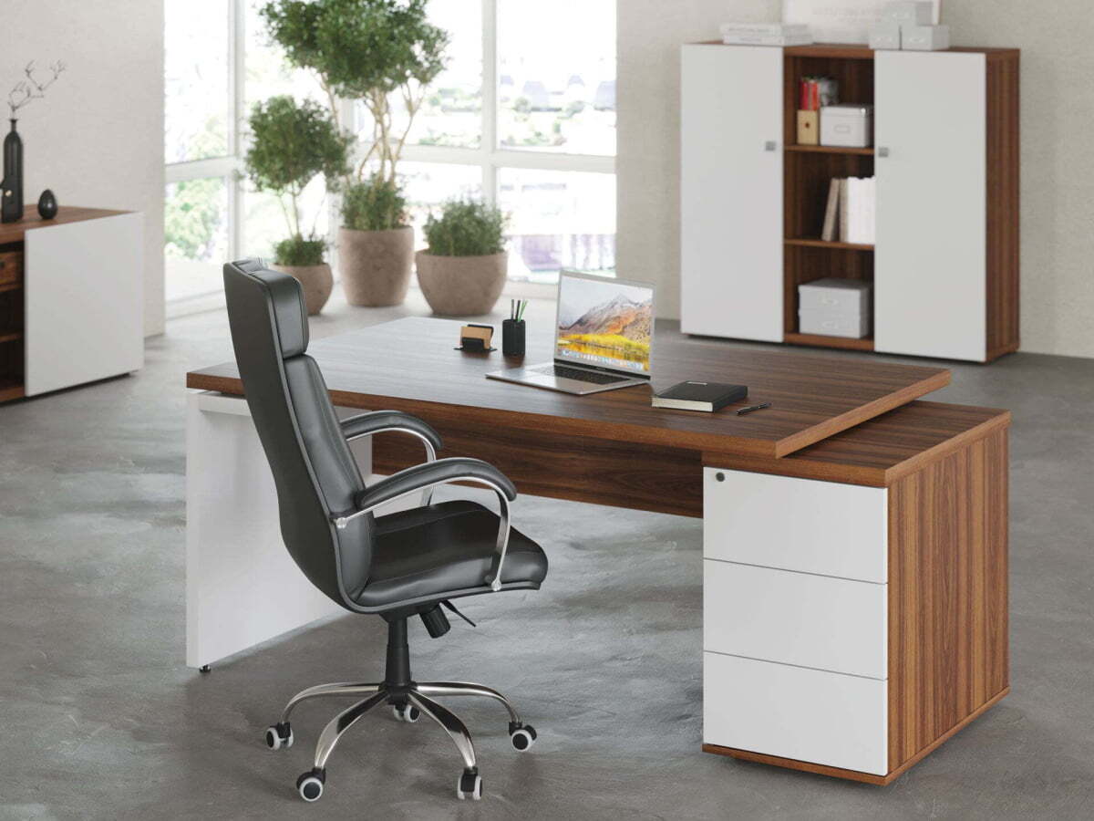 Кабинет руководителя Zion